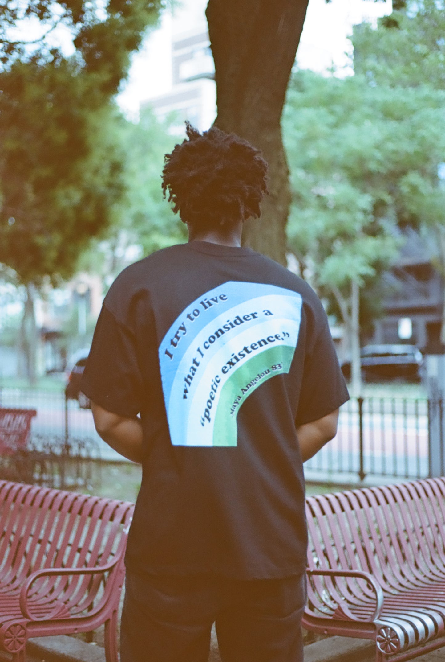 Poetic Existence by Maya Angelou - VOL. 1 & 2