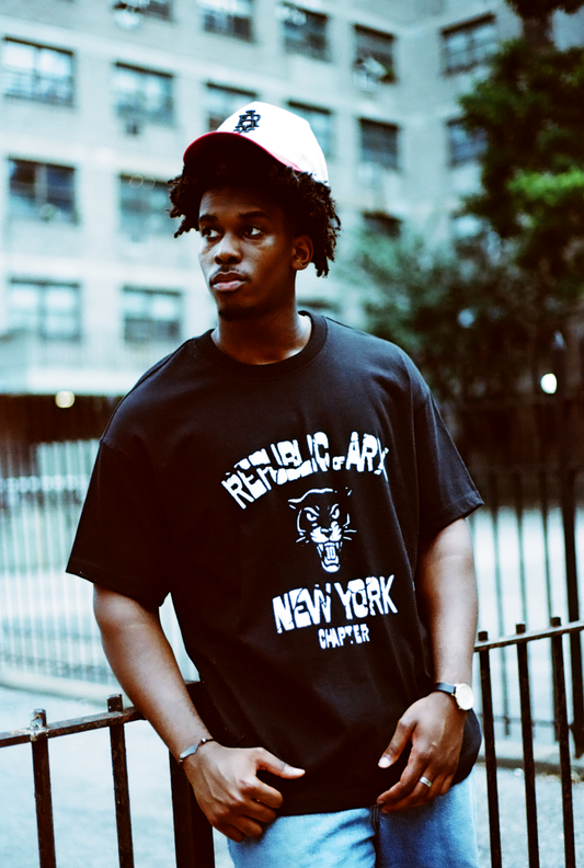 THE TEN POINT PLAN (NY CHAPTER)