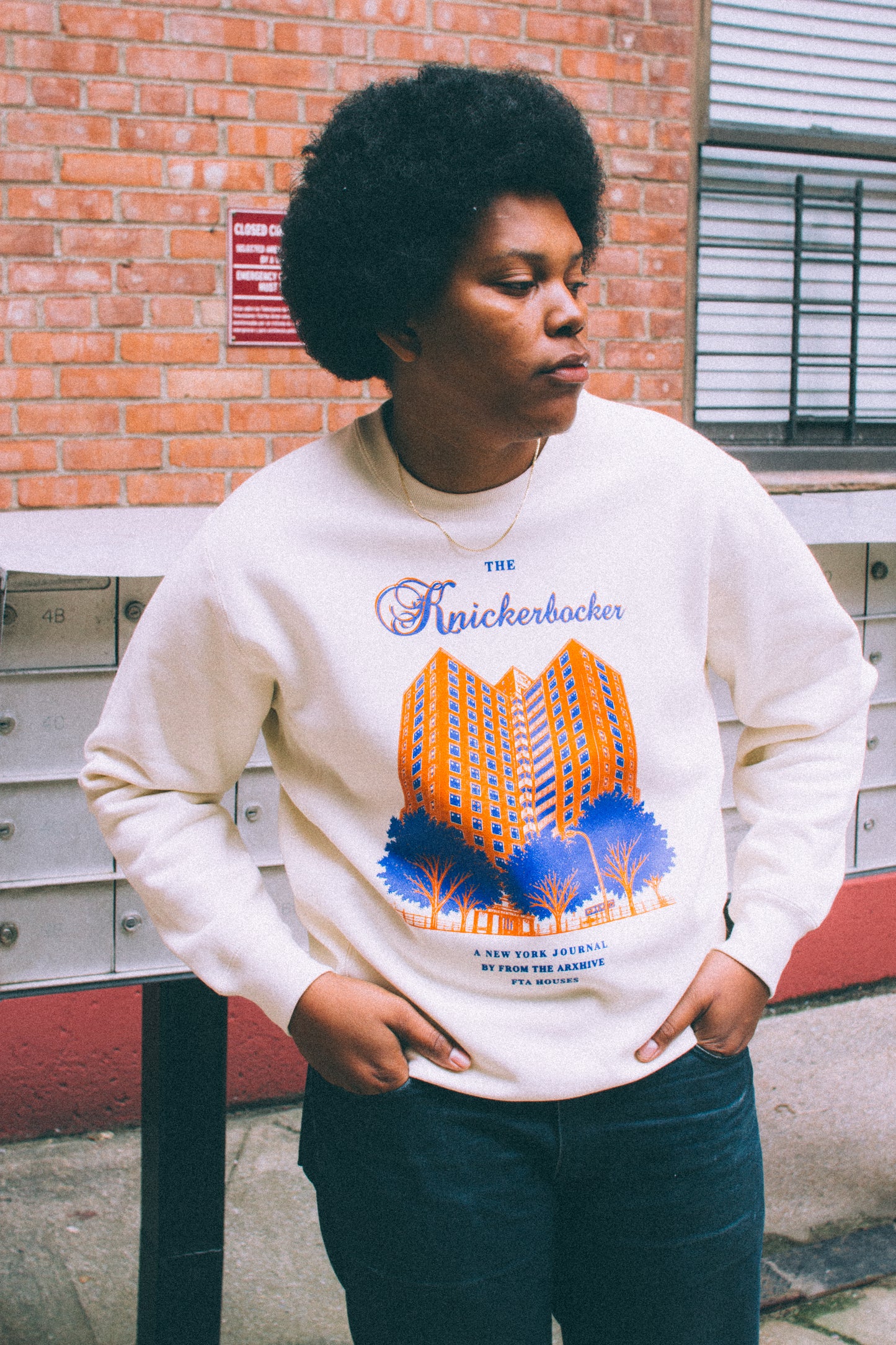 Knickerbocker Crewneck - FTA Houses